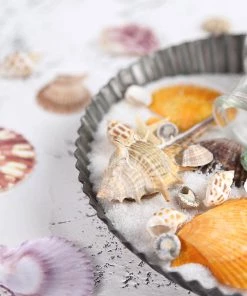 HIER_4830 Tabletop Decor 150g Mixed Natural Seashell Decor | Beach Shells Vase Fillers 25 HIER_4830 Tabletop Decor 150g Mixed Natural Seashell Decor | Beach Shells Vase Fillers