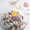 HIER_4830 Tabletop Decor 150g Mixed Natural Seashell Decor | Beach Shells Vase Fillers