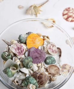 HIER_4830 Tabletop Decor 150g Mixed Natural Seashell Decor | Beach Shells Vase Fillers