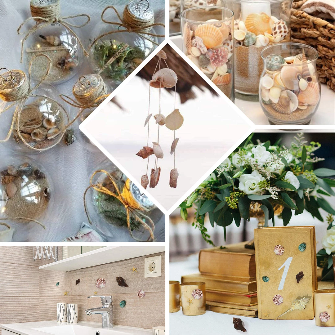 HIER_4830 Tabletop Decor 150g Mixed Natural Seashell Decor | Beach Shells Vase Fillers 5 HIER_4830 Tabletop Decor 150g Mixed Natural Seashell Decor | Beach Shells Vase Fillers