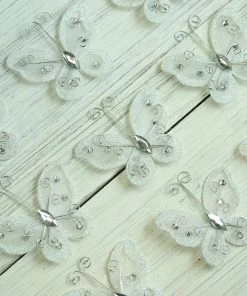 HIER_5120 12 Pack | 2