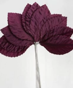 HIER_5120 144 Eggplant Burning Passion Leaves