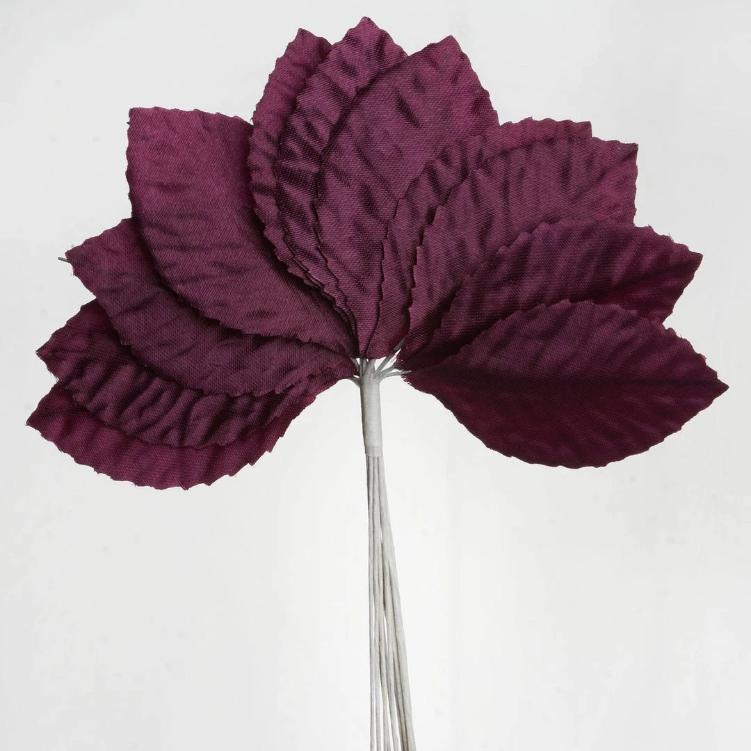 HIER_5120 144 Eggplant Burning Passion Leaves 2 HIER_5120 144 Eggplant Burning Passion Leaves