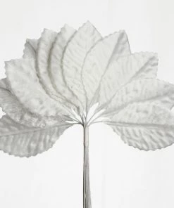 HIER_5120 144 Ivory Burning Passion Leaves