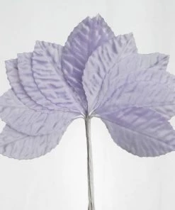 HIER_5120 144 Lavender Burning Passion Leaves