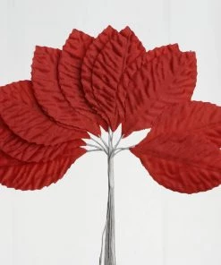 HIER_5120 144 Red Burning Passion Leaves