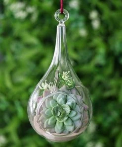 HIER_3300 Set Of 6 | 6" Air Plant Glass Artificial Terrariums Plants Free-falling Teardrop Hanging Plant Holders