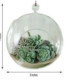 HIER_5200 Set Of 4 | 7" Air Plant Glass Terrarium Globe Hanging Plant Holders 18 HIER_5200 Set Of 4 | 7