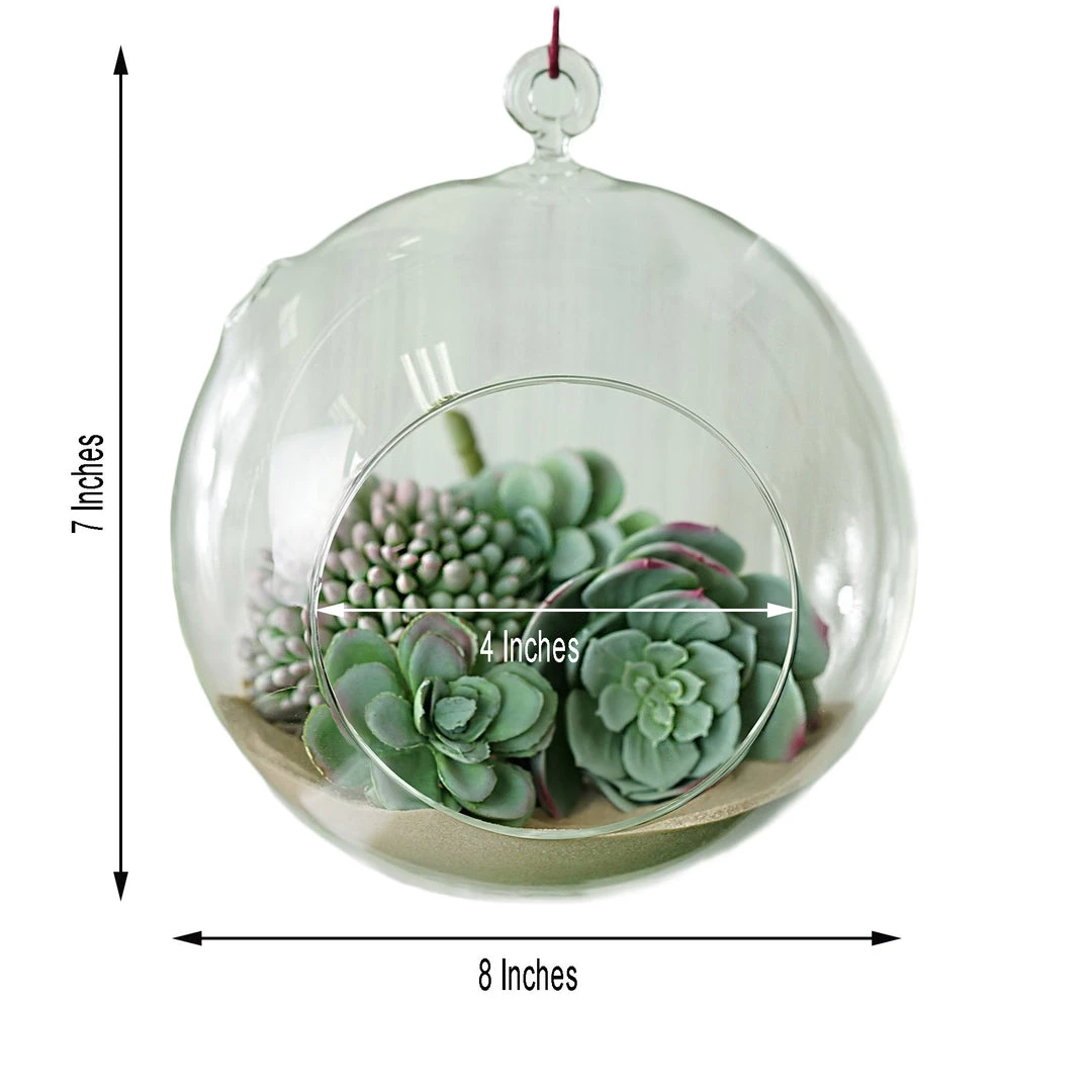 HIER_5200 Set Of 4 | 7" Air Plant Glass Terrarium Globe Hanging Plant Holders 3 HIER_5200 Set Of 4 | 7" Air Plant Glass Terrarium Globe Hanging Plant Holders
