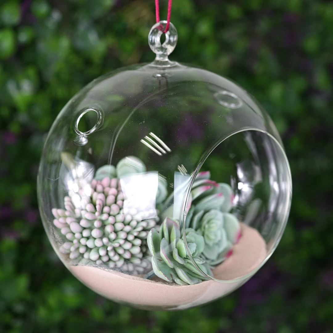 HIER_5200 Set Of 4 | 7" Air Plant Glass Terrarium Globe Hanging Plant Holders 7 HIER_5200 Set Of 4 | 7" Air Plant Glass Terrarium Globe Hanging Plant Holders