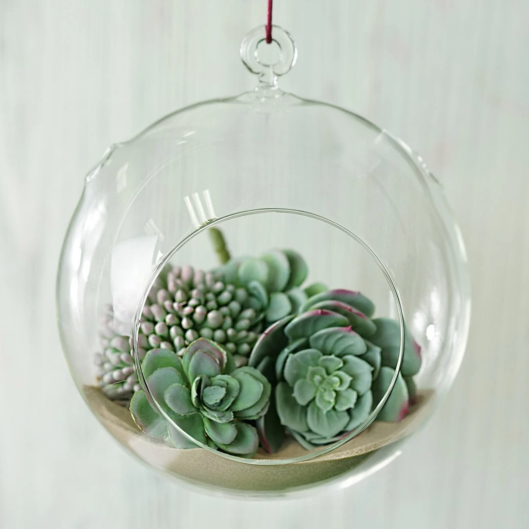 HIER_5200 Set Of 4 | 7" Air Plant Glass Terrarium Globe Hanging Plant Holders 1 HIER_5200 Set Of 4 | 7" Air Plant Glass Terrarium Globe Hanging Plant Holders