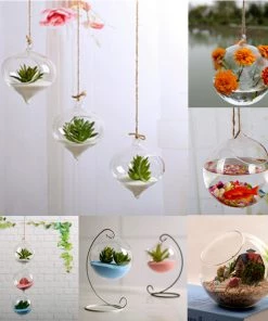 HIER_5200 Set Of 4 | 7" Air Plant Glass Terrarium Globe Hanging Plant Holders 27 HIER_5200 Set Of 4 | 7