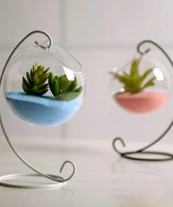 HIER_5200 Set Of 4 | 7" Air Plant Glass Terrarium Globe Hanging Plant Holders 26 HIER_5200 Set Of 4 | 7