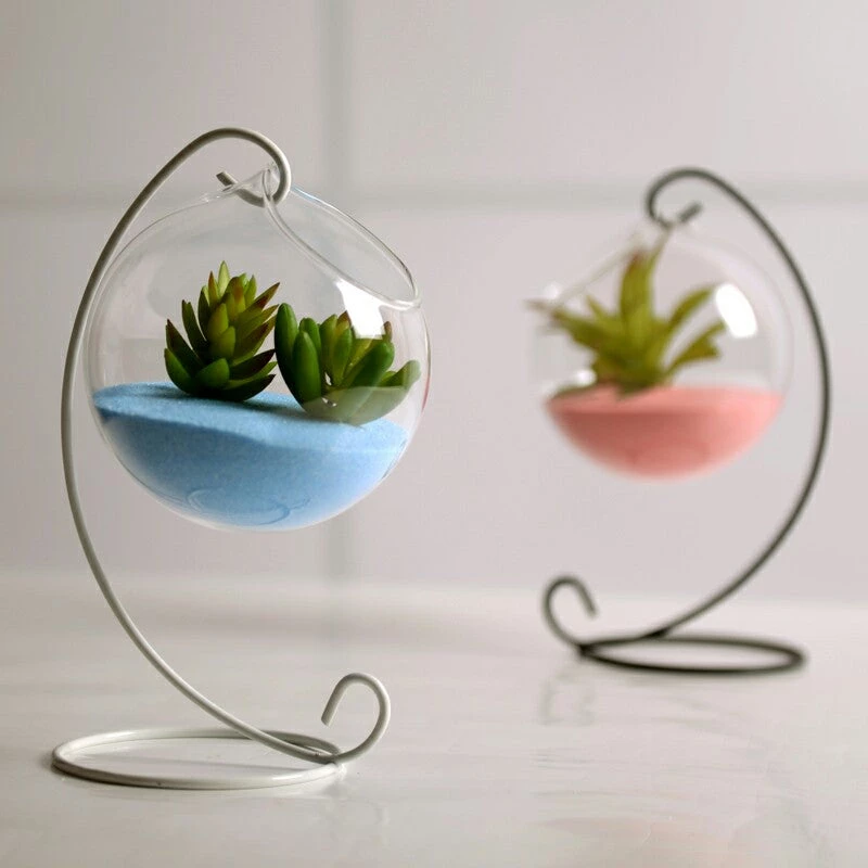 HIER_5200 Set Of 4 | 7" Air Plant Glass Terrarium Globe Hanging Plant Holders 11 HIER_5200 Set Of 4 | 7" Air Plant Glass Terrarium Globe Hanging Plant Holders