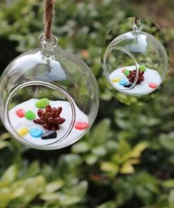 HIER_5200 Set Of 4 | 7" Air Plant Glass Terrarium Globe Hanging Plant Holders 28 HIER_5200 Set Of 4 | 7