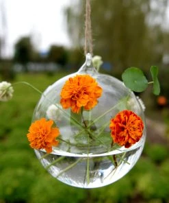 HIER_5200 Set Of 4 | 7" Air Plant Glass Terrarium Globe Hanging Plant Holders 30 HIER_5200 Set Of 4 | 7