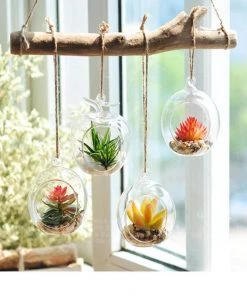 HIER_5200 Set Of 4 | 7" Air Plant Glass Terrarium Globe Hanging Plant Holders 29 HIER_5200 Set Of 4 | 7