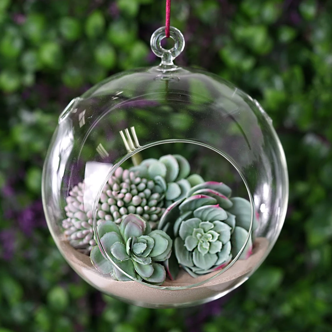 HIER_5200 Set Of 4 | 7" Air Plant Glass Terrarium Globe Hanging Plant Holders 9 HIER_5200 Set Of 4 | 7" Air Plant Glass Terrarium Globe Hanging Plant Holders