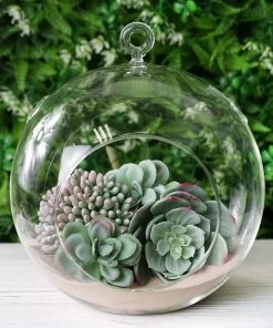 HIER_5200 Set Of 4 | 7" Air Plant Glass Terrarium Globe Hanging Plant Holders