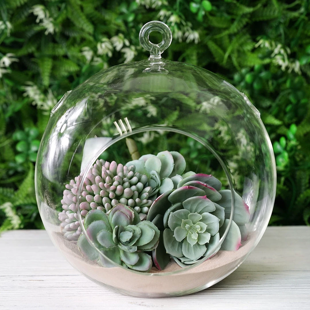 HIER_5200 Set Of 4 | 7" Air Plant Glass Terrarium Globe Hanging Plant Holders 2 HIER_5200 Set Of 4 | 7" Air Plant Glass Terrarium Globe Hanging Plant Holders