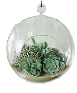 HIER_5200 Set Of 4 | 7" Air Plant Glass Terrarium Globe Hanging Plant Holders 31 HIER_5200 Set Of 4 | 7