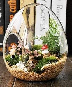 HIER_3300 Chargers & Centerpieces 6 Pack | 5" Hanging Air Plant Glass Terrarium EGG Shaped Plant Holders 14 HIER_3300 Chargers & Centerpieces 6 Pack | 5