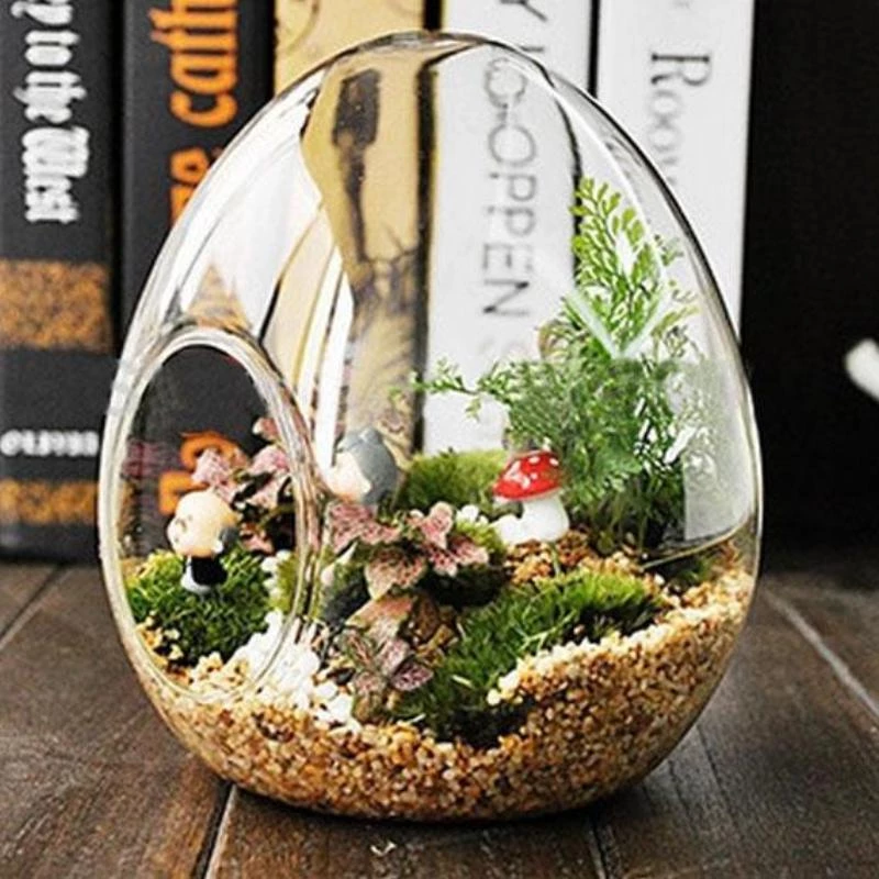 HIER_3300 Chargers & Centerpieces 6 Pack | 5" Hanging Air Plant Glass Terrarium EGG Shaped Plant Holders 7 HIER_3300 Chargers & Centerpieces 6 Pack | 5" Hanging Air Plant Glass Terrarium EGG Shaped Plant Holders