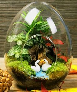 HIER_3300 Chargers & Centerpieces 6 Pack | 5" Hanging Air Plant Glass Terrarium EGG Shaped Plant Holders