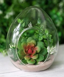 HIER_3300 Chargers & Centerpieces 6 Pack | 5" Hanging Air Plant Glass Terrarium EGG Shaped Plant Holders 13 HIER_3300 Chargers & Centerpieces 6 Pack | 5