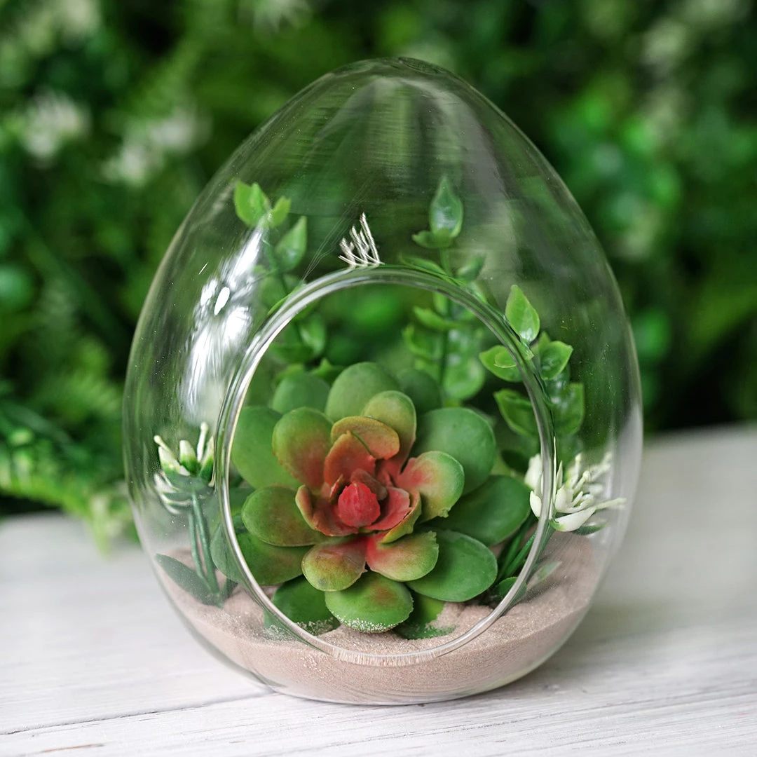 HIER_3300 Chargers & Centerpieces 6 Pack | 5" Hanging Air Plant Glass Terrarium EGG Shaped Plant Holders 6 HIER_3300 Chargers & Centerpieces 6 Pack | 5" Hanging Air Plant Glass Terrarium EGG Shaped Plant Holders