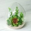HIER_3300 Chargers & Centerpieces 6 Pack | 5" Hanging Air Plant Glass Terrarium EGG Shaped Plant Holders