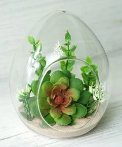 HIER_3300 Chargers & Centerpieces 6 Pack | 5" Hanging Air Plant Glass Terrarium EGG Shaped Plant Holders