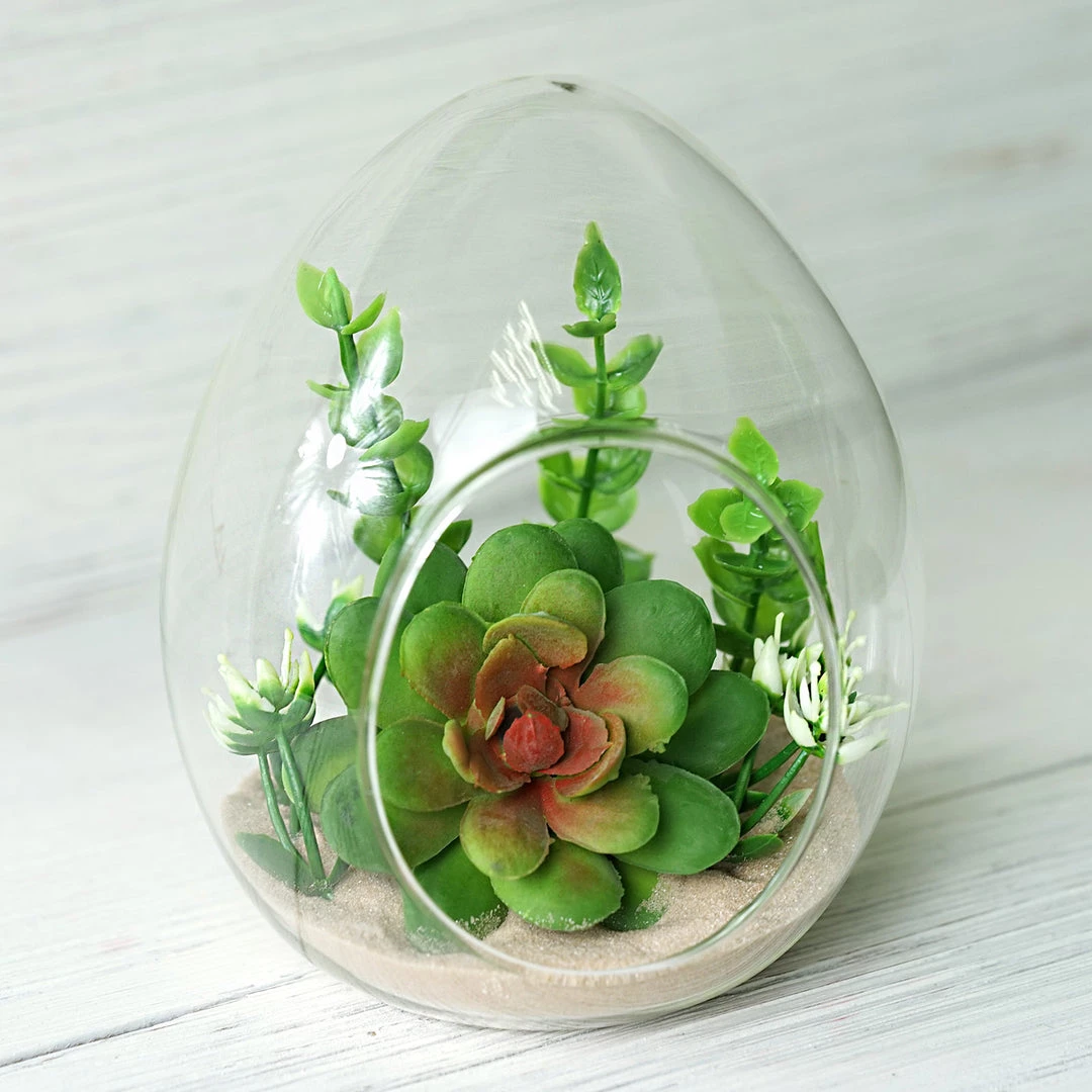 HIER_3300 Chargers & Centerpieces 6 Pack | 5" Hanging Air Plant Glass Terrarium EGG Shaped Plant Holders 1 HIER_3300 Chargers & Centerpieces 6 Pack | 5" Hanging Air Plant Glass Terrarium EGG Shaped Plant Holders