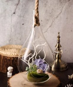 HIER_3300 15" Teardrop Hanging Glass Terrarium With Rope | Hanging Succulent Planter Glass & Metal Floral Vases
