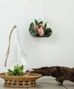 HIER_3300 2 Pack | 12" Teardrop Hanging Glass Terrarium With Rope | Hanging Succulent Planter
