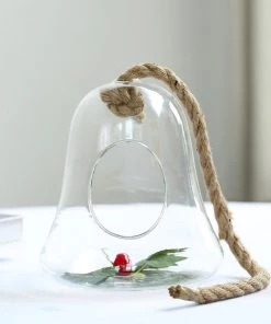 HIER_3300 Chargers & Centerpieces 9" Bell Hanging Glass Terrarium With Rope | Hanging Succulent Planter