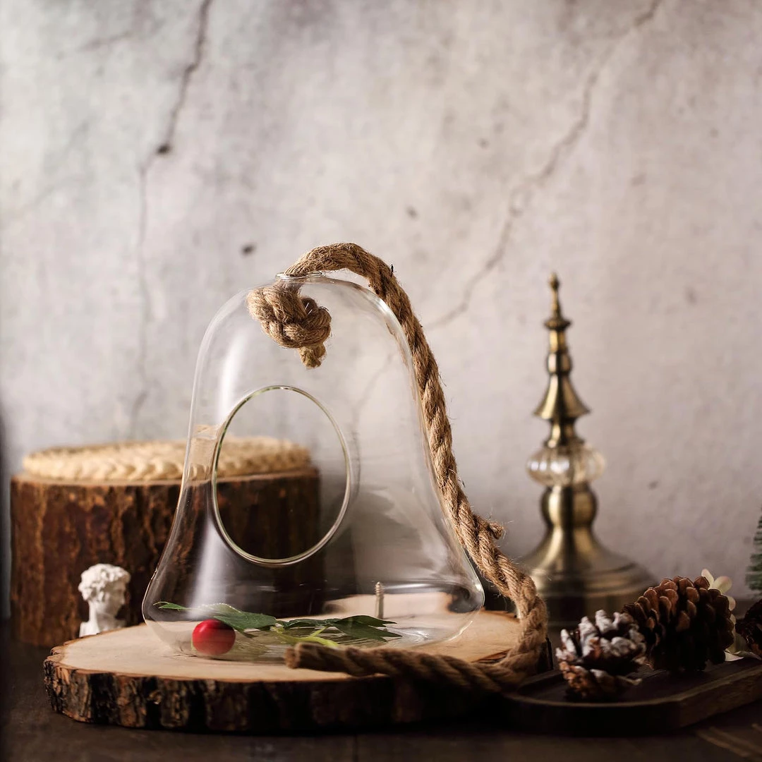 HIER_3300 Chargers & Centerpieces 9" Bell Hanging Glass Terrarium With Rope | Hanging Succulent Planter 7 HIER_3300 Chargers & Centerpieces 9" Bell Hanging Glass Terrarium With Rope | Hanging Succulent Planter
