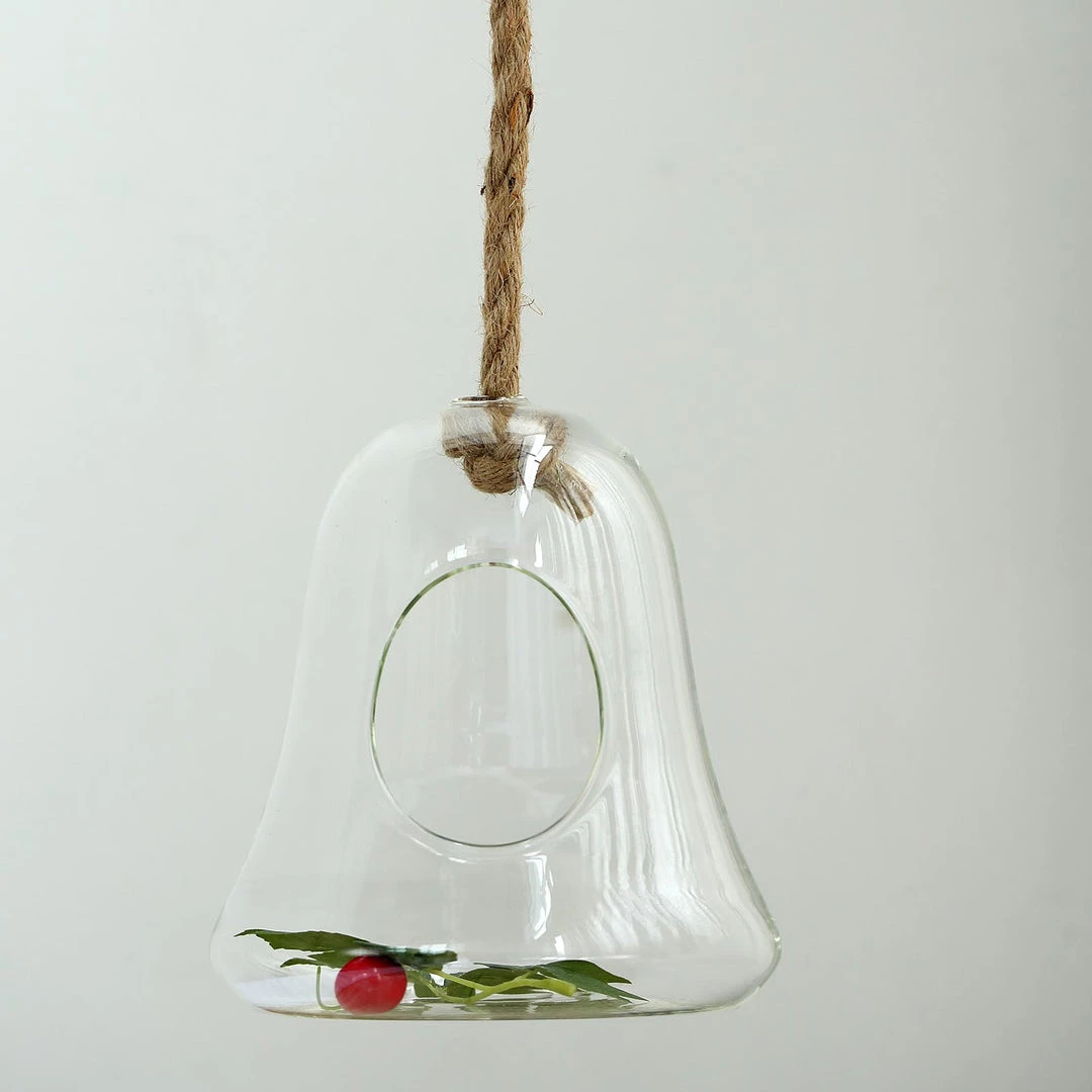 HIER_3300 Chargers & Centerpieces 9" Bell Hanging Glass Terrarium With Rope | Hanging Succulent Planter 8 HIER_3300 Chargers & Centerpieces 9" Bell Hanging Glass Terrarium With Rope | Hanging Succulent Planter