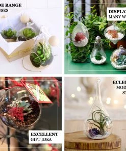 HIER_3300 Chargers & Centerpieces 9" Bell Hanging Glass Terrarium With Rope | Hanging Succulent Planter 17 HIER_3300 Chargers & Centerpieces 9