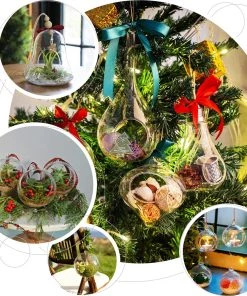 HIER_3300 Chargers & Centerpieces 9" Bell Hanging Glass Terrarium With Rope | Hanging Succulent Planter 18 HIER_3300 Chargers & Centerpieces 9