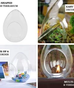 HIER_3300 Chargers & Centerpieces 6 Pack | 5" Hanging Air Plant Glass Terrarium EGG Shaped Plant Holders 11 HIER_3300 Chargers & Centerpieces 6 Pack | 5