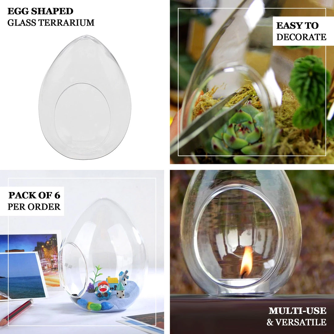HIER_3300 Chargers & Centerpieces 6 Pack | 5" Hanging Air Plant Glass Terrarium EGG Shaped Plant Holders 4 HIER_3300 Chargers & Centerpieces 6 Pack | 5" Hanging Air Plant Glass Terrarium EGG Shaped Plant Holders