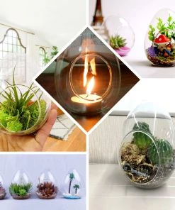HIER_3300 Chargers & Centerpieces 6 Pack | 5" Hanging Air Plant Glass Terrarium EGG Shaped Plant Holders 12 HIER_3300 Chargers & Centerpieces 6 Pack | 5