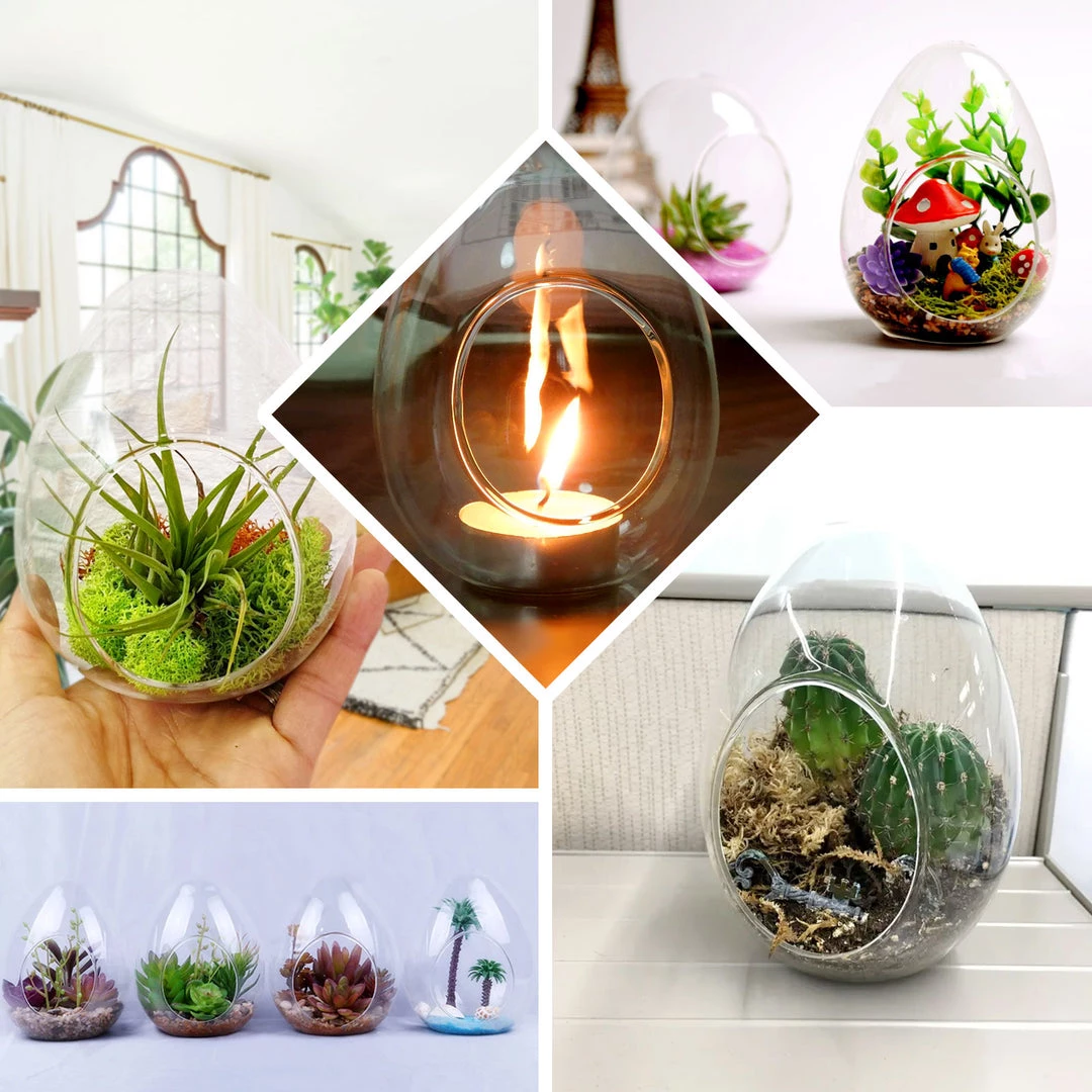 HIER_3300 Chargers & Centerpieces 6 Pack | 5" Hanging Air Plant Glass Terrarium EGG Shaped Plant Holders 5 HIER_3300 Chargers & Centerpieces 6 Pack | 5" Hanging Air Plant Glass Terrarium EGG Shaped Plant Holders