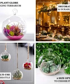 HIER_5200 Set Of 4 | 7" Air Plant Glass Terrarium Globe Hanging Plant Holders 19 HIER_5200 Set Of 4 | 7