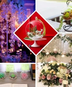 HIER_5200 Set Of 4 | 7" Air Plant Glass Terrarium Globe Hanging Plant Holders 20 HIER_5200 Set Of 4 | 7