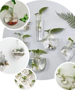 HIER_3400 3 Pack | Hexagon Glass Wall Vase | Indoor Wall Mounted Planters | Hanging Terrariums 42 HIER_3400 3 Pack | Hexagon Glass Wall Vase | Indoor Wall Mounted Planters | Hanging Terrariums