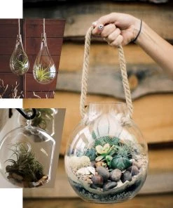 HIER_3400 3 Pack | Trapezoid Glass Wall Vase | Indoor Wall Mounted Planters | Hanging Terrariums