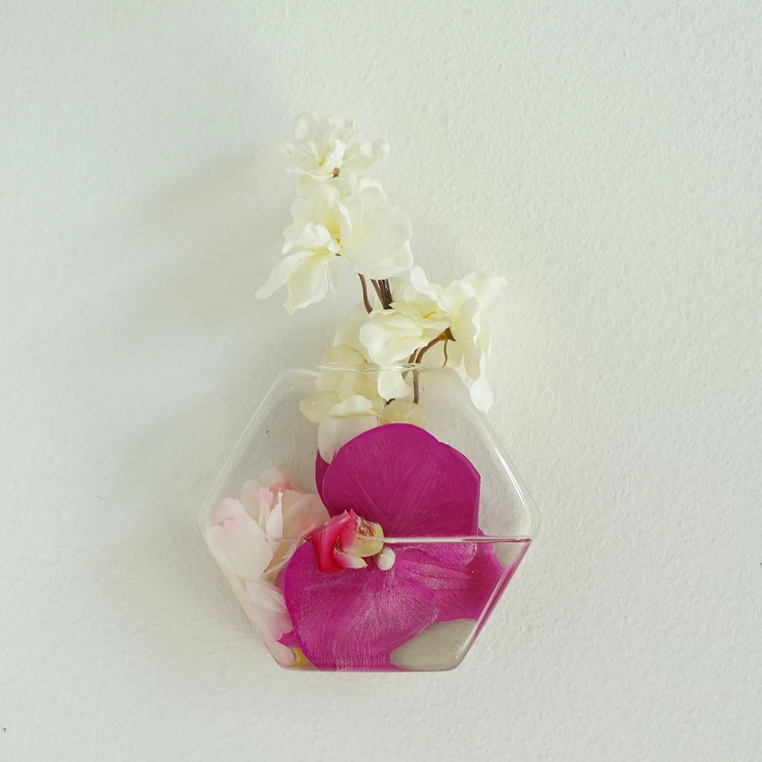 HIER_3400 3 Pack | Hexagon Glass Wall Vase | Indoor Wall Mounted Planters | Hanging Terrariums 7 HIER_3400 3 Pack | Hexagon Glass Wall Vase | Indoor Wall Mounted Planters | Hanging Terrariums