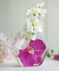 HIER_3400 3 Pack | Hexagon Glass Wall Vase | Indoor Wall Mounted Planters | Hanging Terrariums 46 HIER_3400 3 Pack | Hexagon Glass Wall Vase | Indoor Wall Mounted Planters | Hanging Terrariums